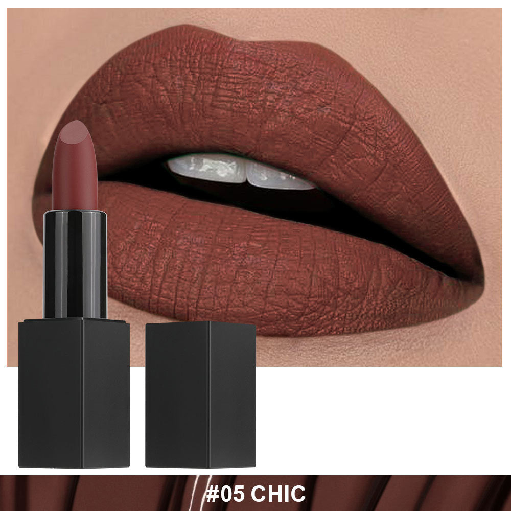 Non-stick Cup Non-fading Black Tube Matte Lipstick
