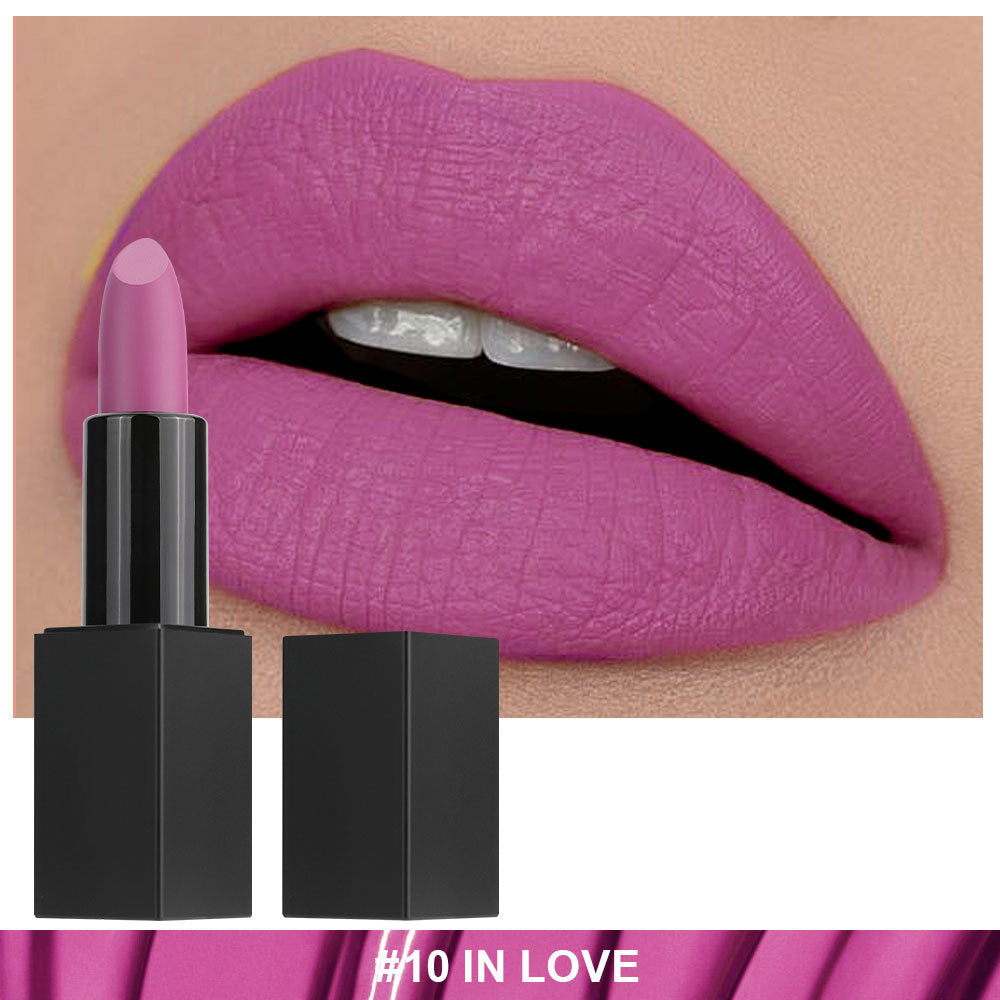 Non-stick Cup Non-fading Black Tube Matte Lipstick