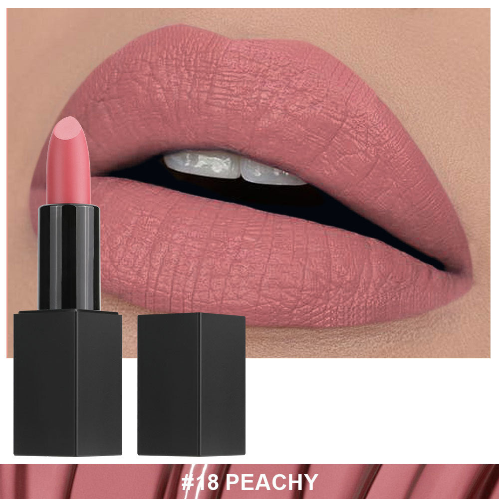 Non-stick Cup Non-fading Black Tube Matte Lipstick