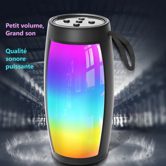 Haut-parleur bluetooth portable 1202