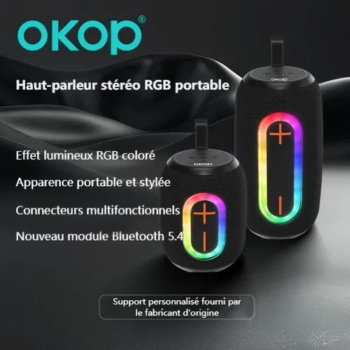 Enceinte Bluetooth sans fil 833