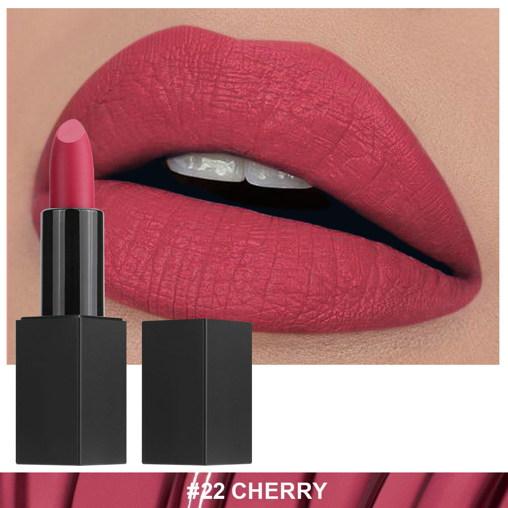Non-stick Cup Non-fading Black Tube Matte Lipstick