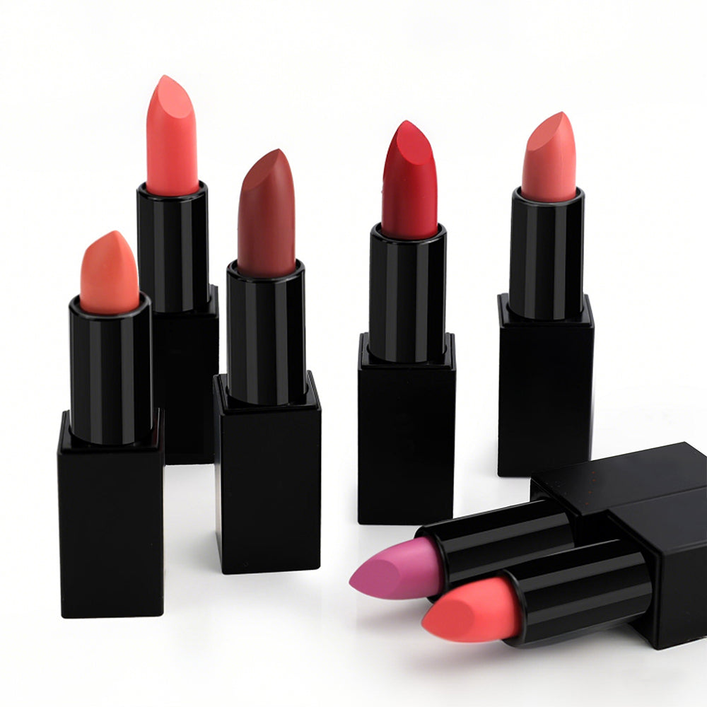 Non-stick Cup Non-fading Black Tube Matte Lipstick