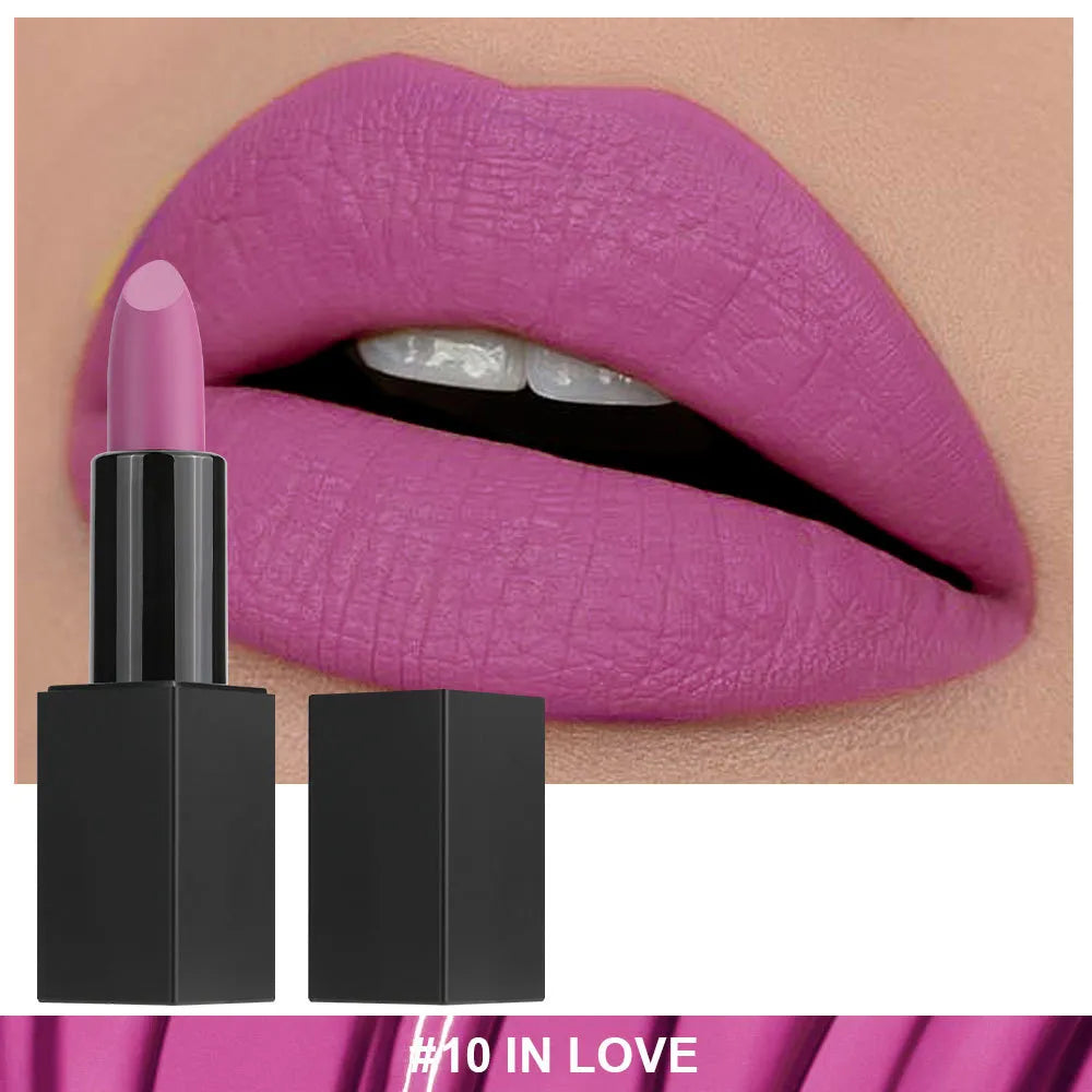 Non-stick Cup Non-fading Black Tube Matte Lipstick