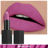 Non-stick Cup Non-fading Black Tube Matte Lipstick