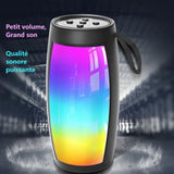 Haut-parleur bluetooth portable 1202