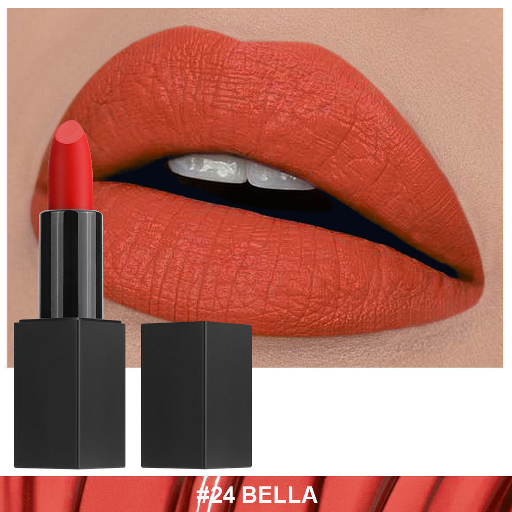Non-stick Cup Non-fading Black Tube Matte Lipstick
