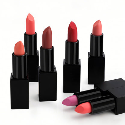 Non-stick Cup Non-fading Black Tube Matte Lipstick