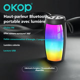Haut-parleur bluetooth portable 1202