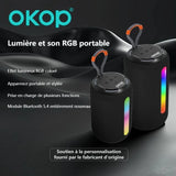Enceinte Bluetooth sans fil 599