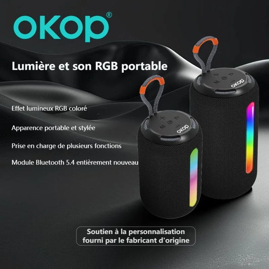 Enceinte Bluetooth sans fil 599