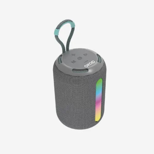 Enceinte Bluetooth sans fil 599
